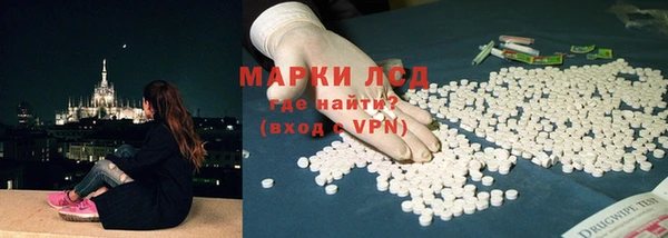 гидра Киренск