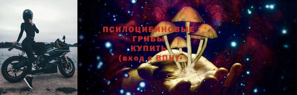 гидра Киренск