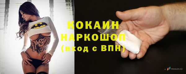 гидра Киренск