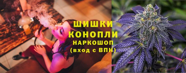 гидра Киренск